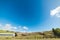 Barns in a green meadow in Central California