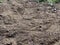 Barnyard soil and debris at barn door entrance