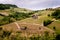 Barolo Langhe and Roero vineyards hills. Springtime landscape, Nebbiolo, Dolcetto, Barbaresco red wine. Viticulture in Piedmont,