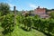 Barolo medieval castle and vineyards in Piedmont, Italy