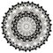 Baroque black and white floral round lace mandala pattern. Vector ornamental baroque victorian style lacy background. Vintage