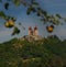 Baroque Calvary in Banska Stiavnica