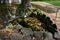 Baroque fountain converted into a romantic glass pond with stones around the perimeter and railings. historic garden with trimmed