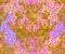 Baroque golden seamless pattern over leopard or cheetah skin tit