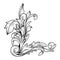 Baroque rococo border frame acanthus filigree vintage floral wedding decoration
