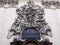 Baroque stucco relief of St James Church in Prague.