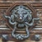 Baroque style lion door knob