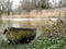 Barque in a reed bed near the edge of the Loire.