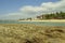 Barra de SÃ£o Miguel beach with sandstone reef in the foreground.