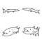 Barracuda Animal Vector Illustration Hand Drawn Cartoon Art