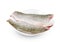 Barramundi or seabass fish sliced with dish isolated on white background ,include clipping path
