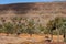 Barranco de la Madre del Agua oasis on the island of Fuerteventura