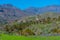 Barranco de Tirajana at Gran Canaria, Canary Islands, Spain