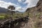 Barranco Seco gorge landscape with steep green slopes, Tenerife, Canary islands, Spain