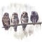 Barred Owls watercolor