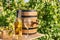 Barrel, bottle and glass of white wine on wooden table in vineyard