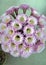 Barrel Cactus Flower Boquet in Riverside California