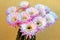 Barrel Cactus Pink Blooming Flower in Palmdale