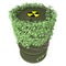 Barrel Ivy Nuclear