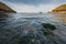 A barrel jellyfish stranded on the Pembrokeshire coast