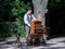 A Barrel Organ Player With A Parrot In Berlin, Germany