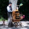 A Barrel Organ Player With A Parrot In Berlin, Germany