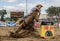 Barrel Racer