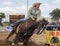 Barrel Racer at the Rodeo