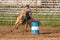 Barrel racing at the Michigan ranch rodeo