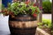 barrel repurposed as a flower planter
