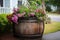 barrel repurposed as a flower planter outdoors