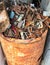 A Barrel of Rusted Scrap Metal Junk