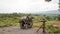 Barrel on a wagon overlooking a vineyard in burma