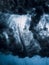 Barrel wave crash with vortex underwater in crystal ocean. Stormy water texture