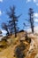 Barren Cliffs of Mammoth Hot Springs