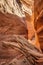 Barren, dead tree lies across the rocky canyon floor in the Utah Canyons