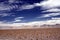 Barren dry endless plain dotted with tufts of dried grass, white shimmering mountain range in the horizon