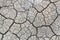 Barren earth. Dry cracked earth background. Cracked mud pattern.