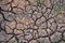 Barren earth. Dry cracked earth background. Cracked mud pattern. Soil In cracks.Creviced texture.Drought land. Environment drought