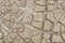 Barren earth. Dry cracked earth background. Cracked mud pattern. Soil In cracks.Drought land. Environment drought texture.