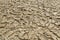 Barren earth. Dry cracked earth background. Cracked mud pattern. Soil In cracks.Drought land. Environment drought texture.