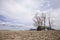 Barren field and barn