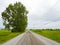 Barren Gravel Road landscape with telephone power lines and a big tree