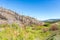 Barren hill trees and burned area with recovering green valley in a wildfire