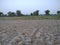 Barren land have a nice look