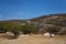 Barren landscape in Aruba`s Arikok National Park Landscape