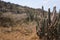 Barren landscape in Aruba`s Arikok National Park Landscape