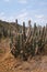 Barren landscape in Aruba`s Arikok National Park Landscape