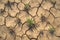 Barren landscape dried, cracked soil under scorching summer sun