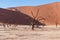 Barren landscape near Deadvlei and sossusvlei